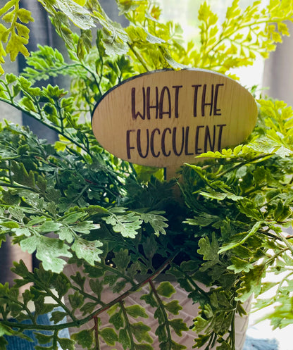 Plant Stakes | Plant Picks | Funny Plant Messages | Wood Plant Picks | Plant Lover Humor - Designs by SNK
