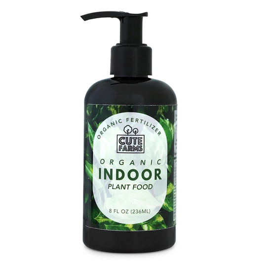 How I Revived My Dying Houseplants (Without Harsh Chemicals) with this one product.