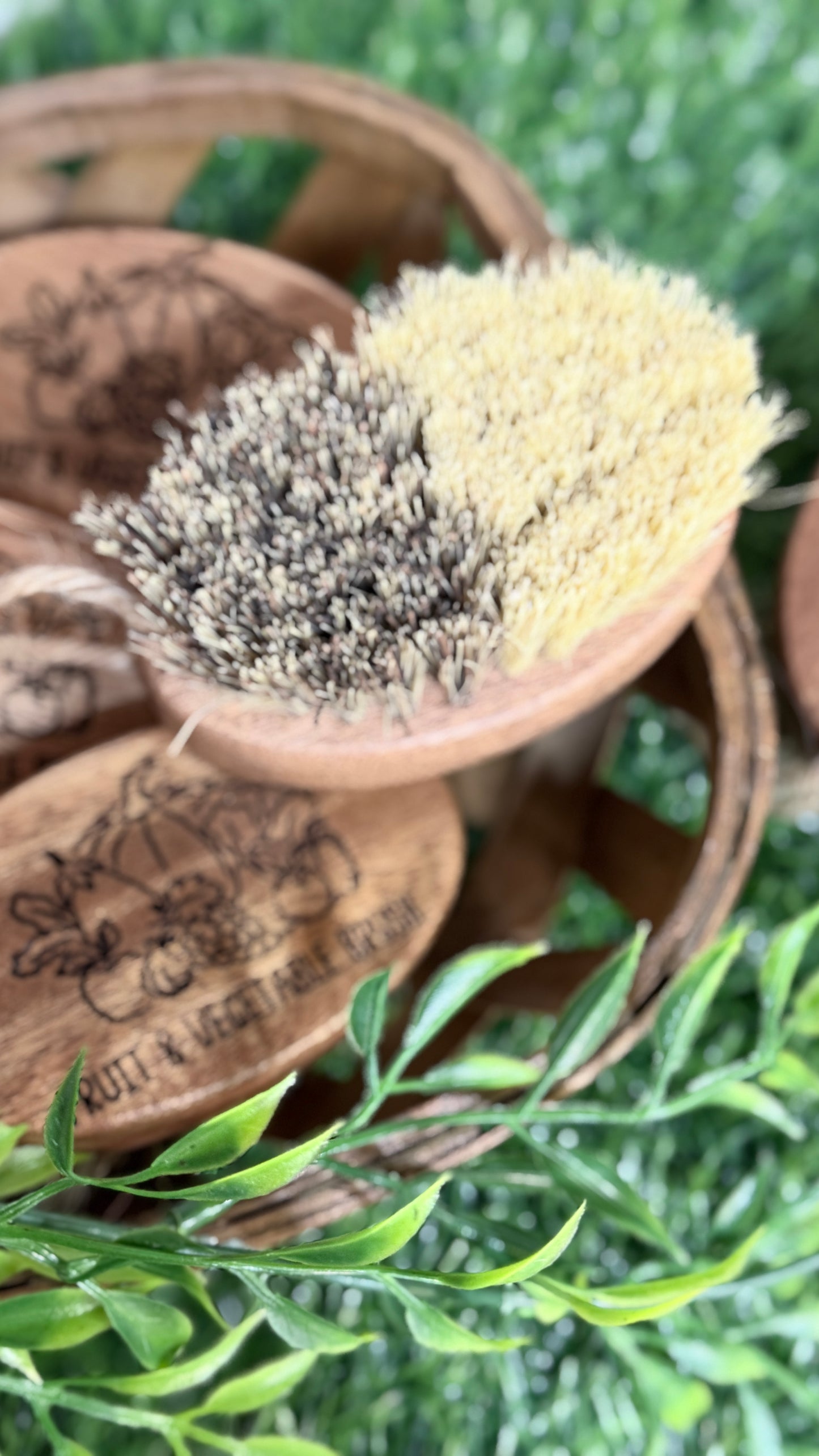 Acacia Fruit & Vegetable Brush | Dual Bristle Cleaning Tool Farmers Market